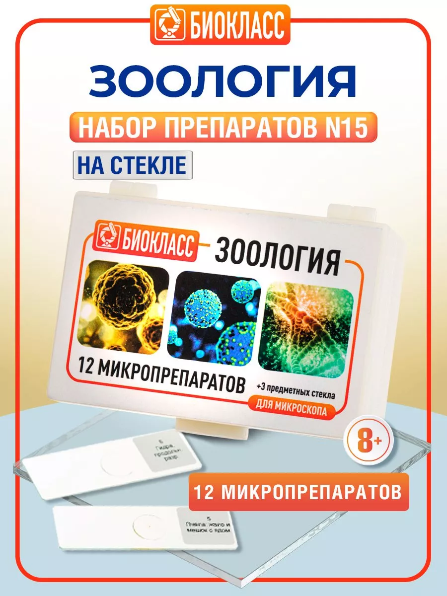 Стекла для микроскопа с 12 образцами БИОКЛАСС 29550608 купить за 1 024 ₽ в  интернет-магазине Wildberries