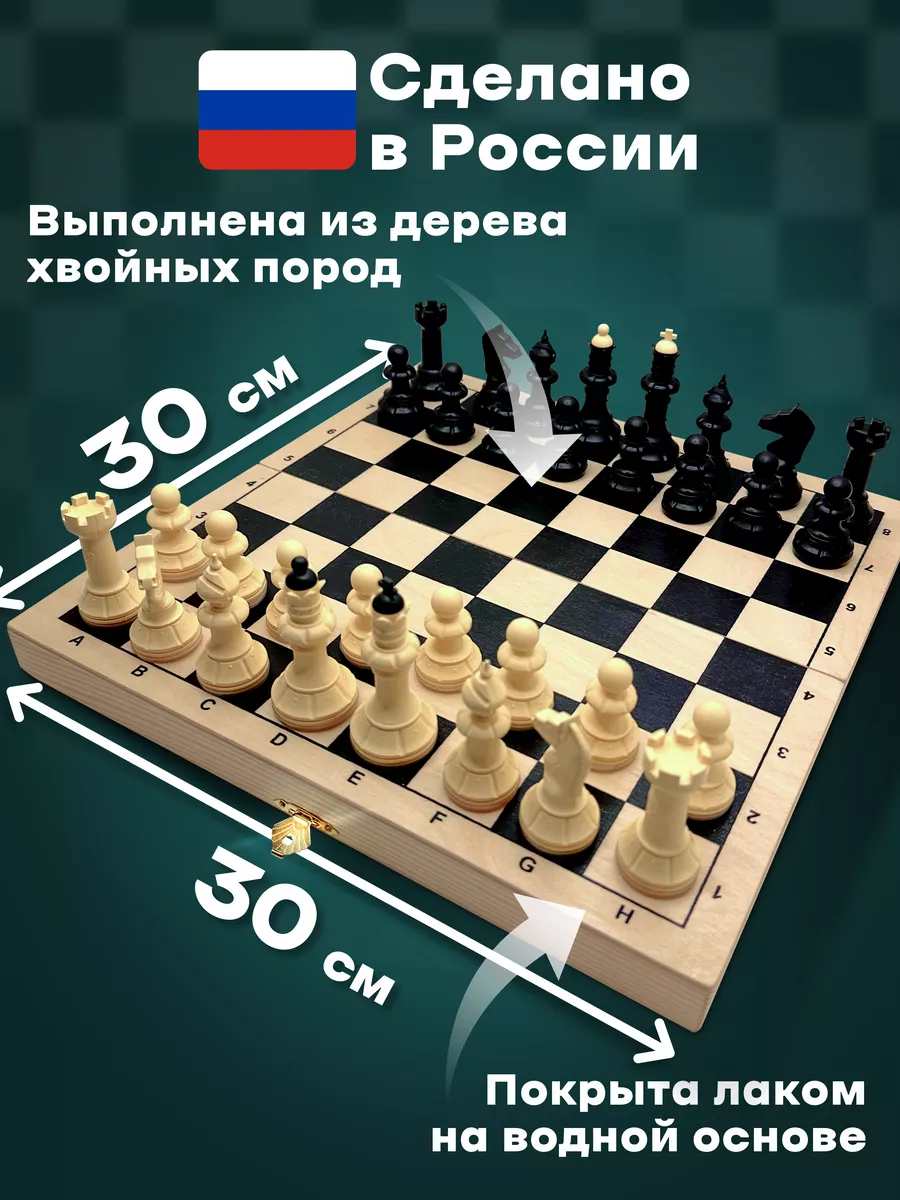Как играть в шахматы: инструкция для начинающих