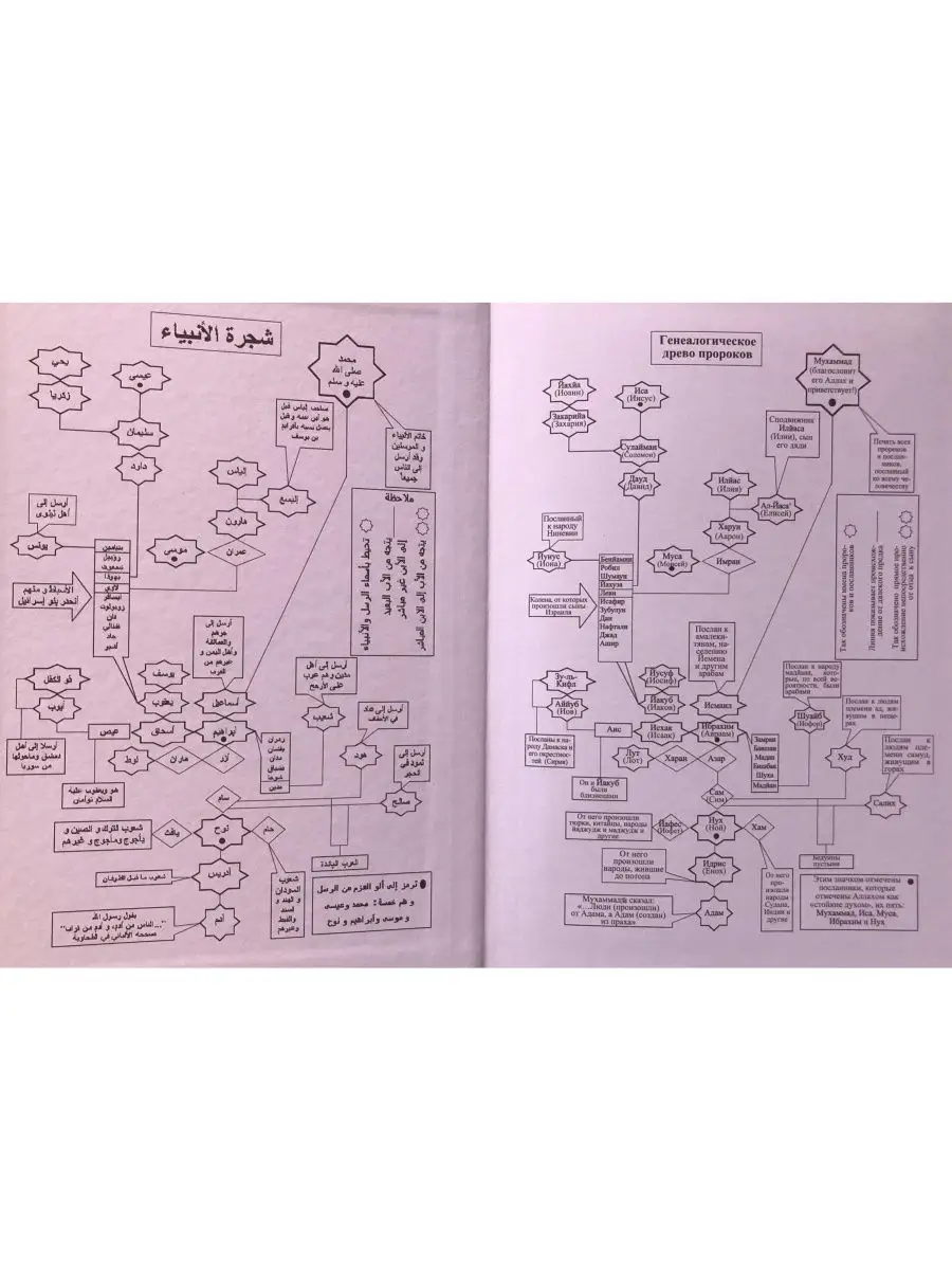 История от адама до мухаммада. Книга от Адама до Мухаммада. История пророков от Адама до Мухаммада. Книга история пророков от Адама до Мухаммада. Книга про пророков от Адама до Мухаммада.