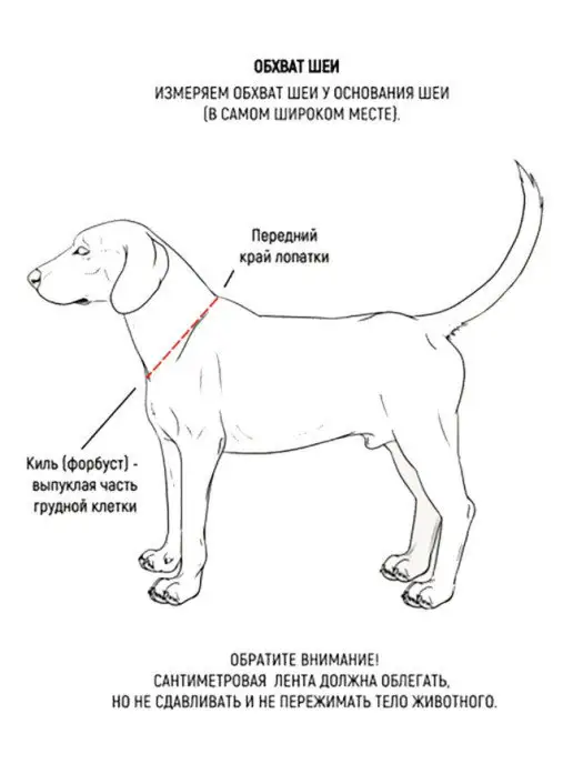 PetShop Ошейник для собак "Блайнд" 35-58 см Таппи, вариант, фото 4