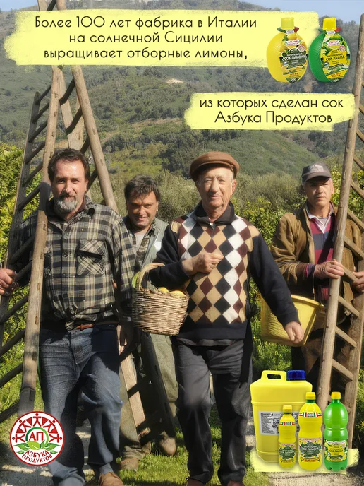 АЗБУКА ПРОДУКТОВ Натуральный сок лимона прямого отжима 1л, 500x2, фото 4