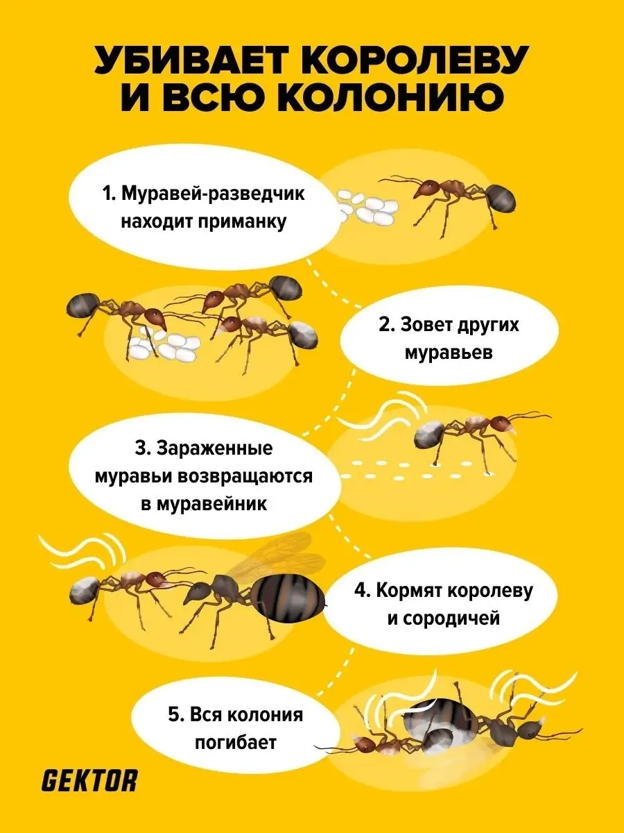 Средство от муравьев садовых Гектор Гектор 29681559 купить за 430 ₽ в  интернет-магазине Wildberries