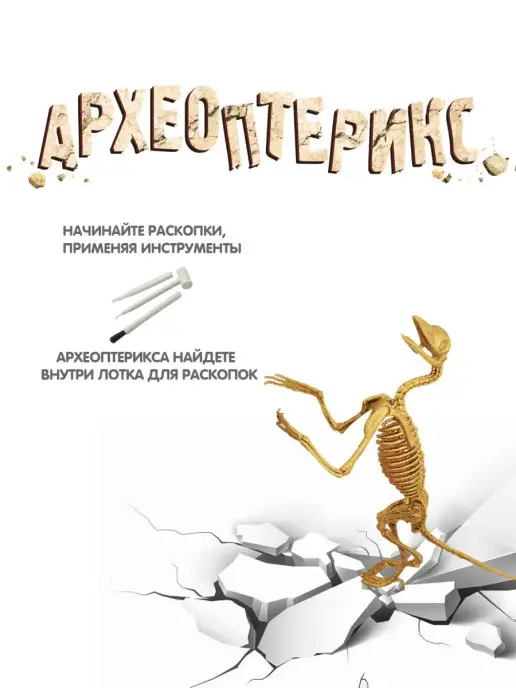 Bondibon Раскопки для детей набор Скелет Динозавра Археопетрикс, вариант, фото 4