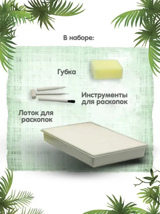 Bondibon Раскопки для детей набор Скелет Динозавра Археопетрикс, вариант, фото 7