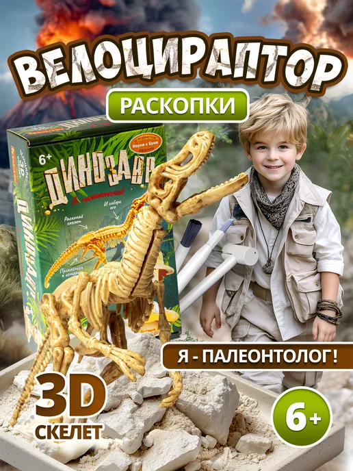 Bondibon Набор для опытов Раскопки Динозавр 3D скелет Велоцираптор, белый