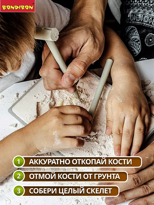 Bondibon Набор для опытов Раскопки Динозавр 3D скелет Велоцираптор, белый, фото 2