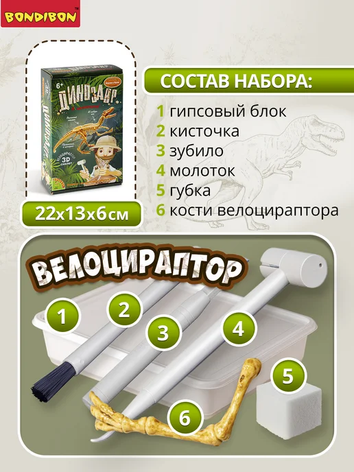 Bondibon Набор для опытов Раскопки Динозавр 3D скелет Велоцираптор, белый, фото 3