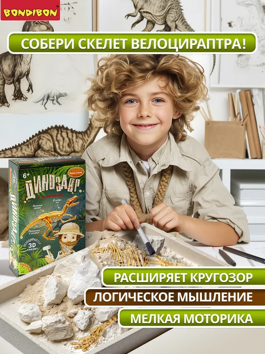 Bondibon Набор для опытов Раскопки Динозавр 3D скелет Велоцираптор, белый, фото 4