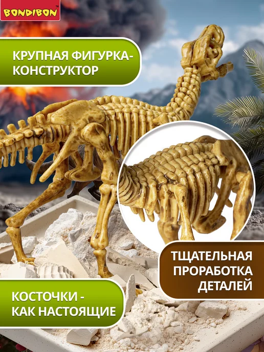 Bondibon Набор для опытов Раскопки Динозавр 3D скелет Велоцираптор, белый, фото 5