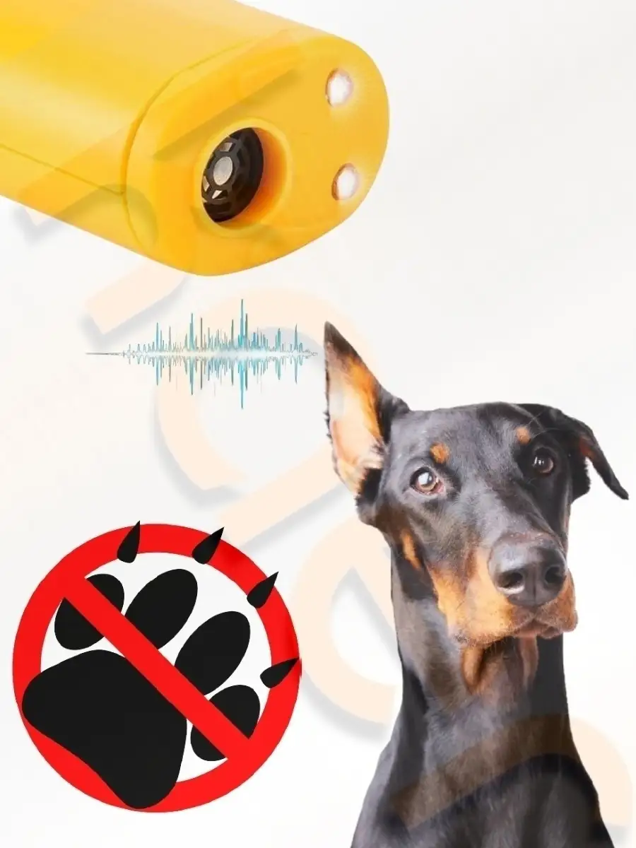 Ультразвук от собак слушать. Животные которые слышат ультразвук. От отпугивателя собак может оглохнуть собака.