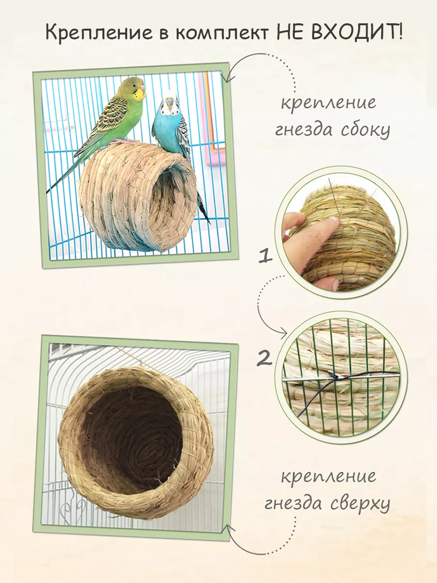 Как ухаживать за гнездом попугая