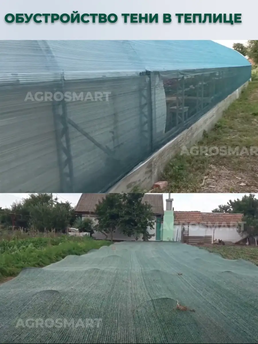 Теневой навес от солнца зеленый 3х2 м AgroSmart 30060916 купить за 775 ₽ в  интернет-магазине Wildberries