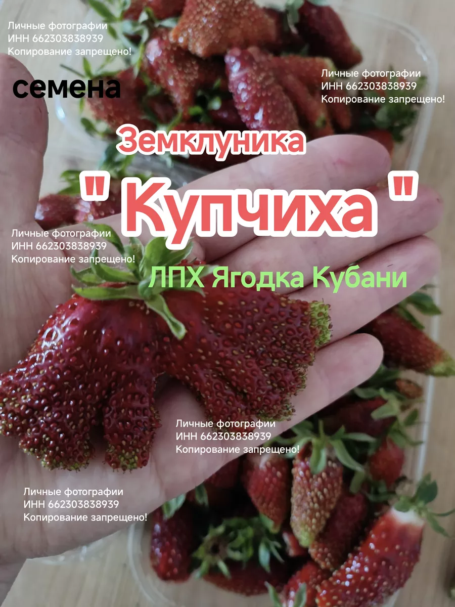 Клубника земклуника 