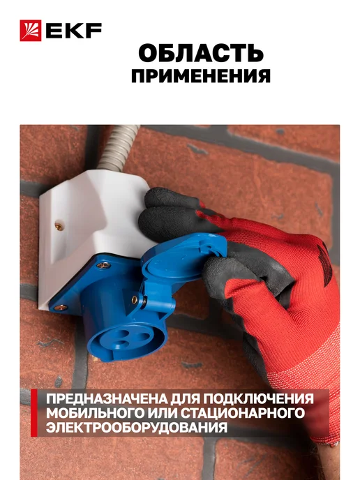 EKF Розетка силовая 16А 220В 2Р+РЕ IP44 стационарная наружная, синий, фото 2