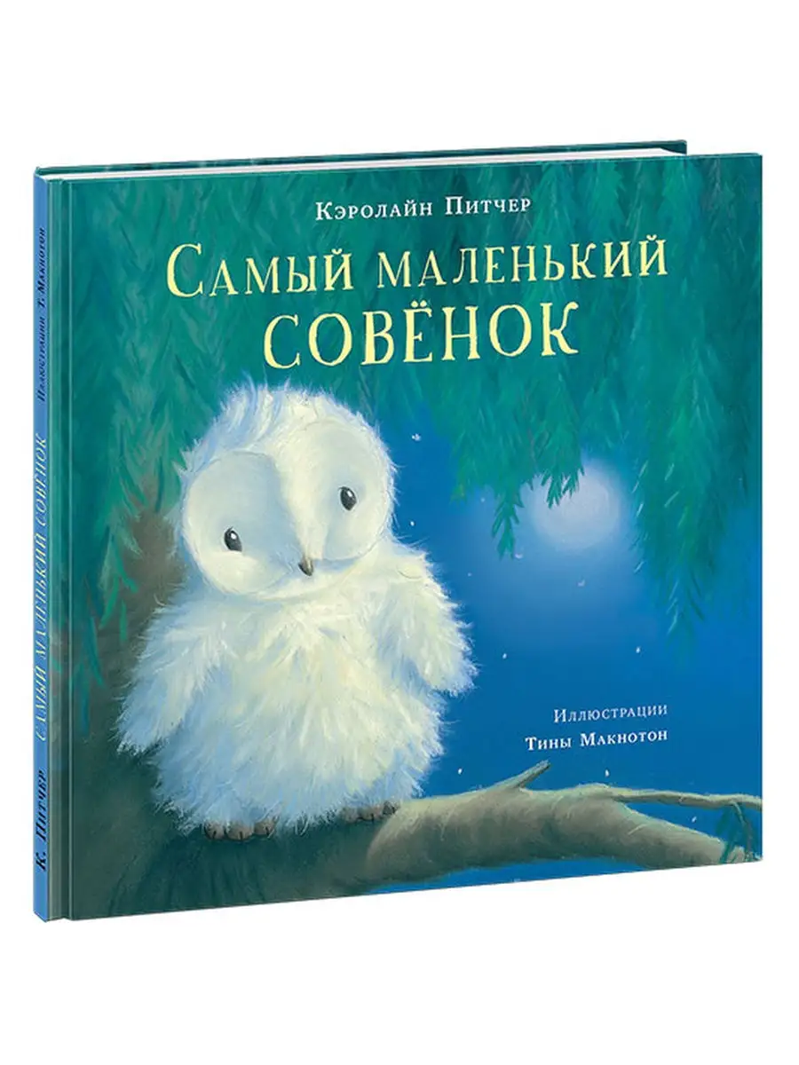 Самый маленький совенок ИД НИГМА 30198776 купить в интернет-магазине  Wildberries