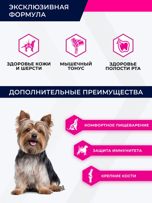 Сухой корм Eukanuba Йоркширский Терьер для собак, взрослые, курица, 2 кг, фото 2