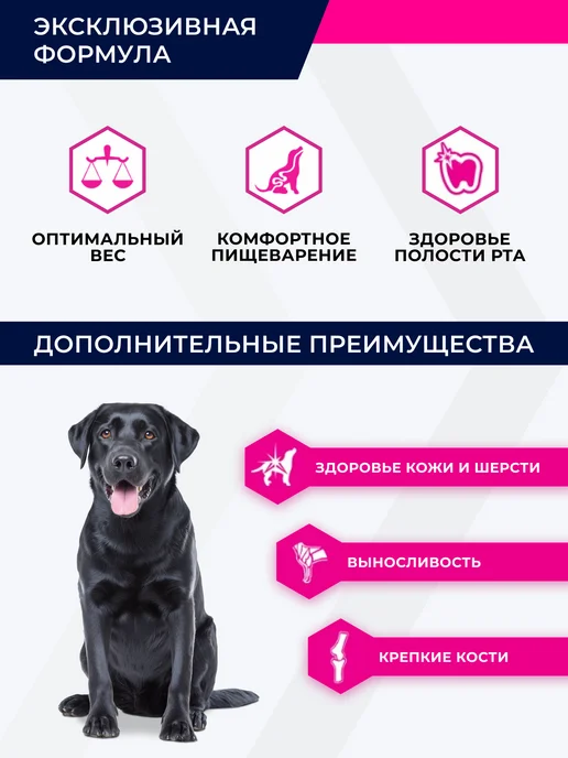 Сухой корм Eukanuba Лабрадор-Ретривер для собак, взрослые, курица, 10 кг, фото 2