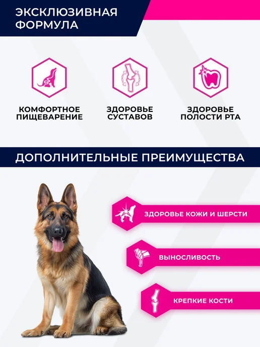 Сухой корм Eukanuba Немецкая Овчарка для собак, взрослые, курица, 10 кг, фото 2