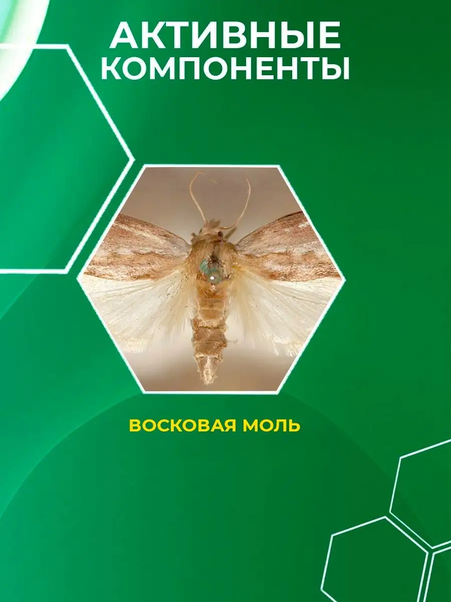 Восковая моль для иммунитета таблетки KAMCHATKA 30355530 купить в  интернет-магазине Wildberries