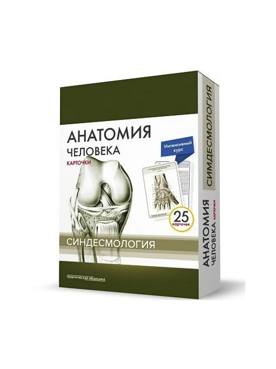 Сапин, Николенко, Тимофеева. Анатомия человека: карточки. (25 шт).  Синдесмология Практическая медицина 30479160 купить за 447 ₽ в  интернет-магазине Wildberries