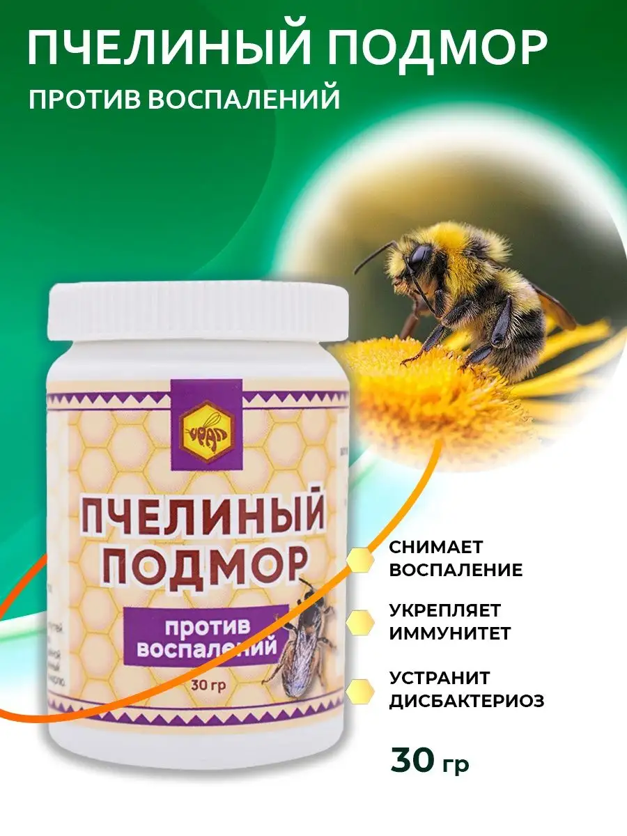 Пчелиный подмор от варикоза и воспалений KAMCHATKA 30498973 купить в  интернет-магазине Wildberries