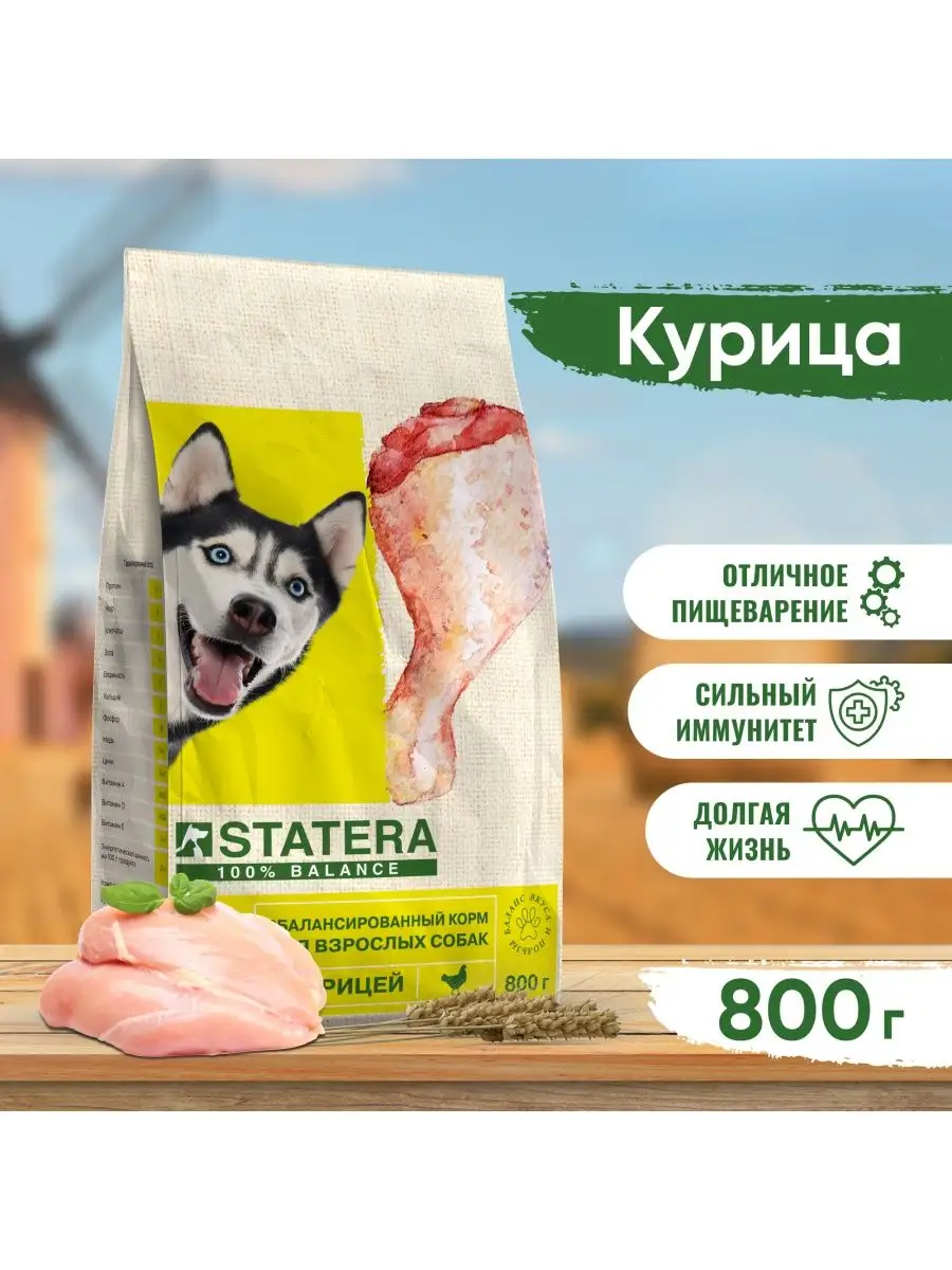 Корм для собак сухой 800 г STATERA 30516879 купить в интернет-магазине  Wildberries