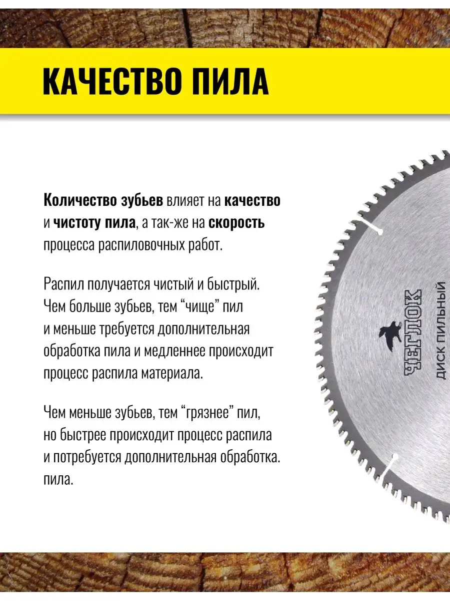 Диск пильный по дереву 255x30x100T ЧЕГЛОК 30531913 купить за 1 063 ₽ в  интернет-магазине Wildberries