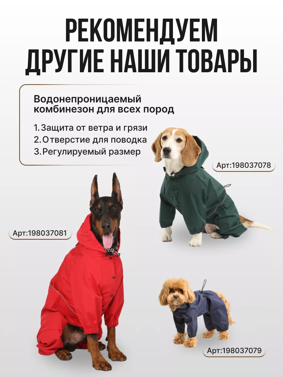 Интернет - зоомагазин Парди для собак по выгодным ценам с доставкой
