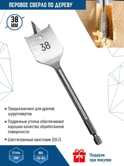 Сверло по дереву перовое с шестигранным хвостовиком 1 шт VERTEXTOOLS 30907612 купить за 277 ₽ в интернет-магазине Wildberries