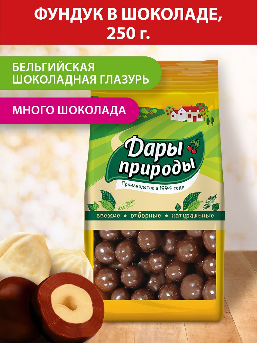 Фундук в шоколадной глазури, 250 г. Дары Природы 30925966 купить за 297 ₽ в  интернет-магазине Wildberries