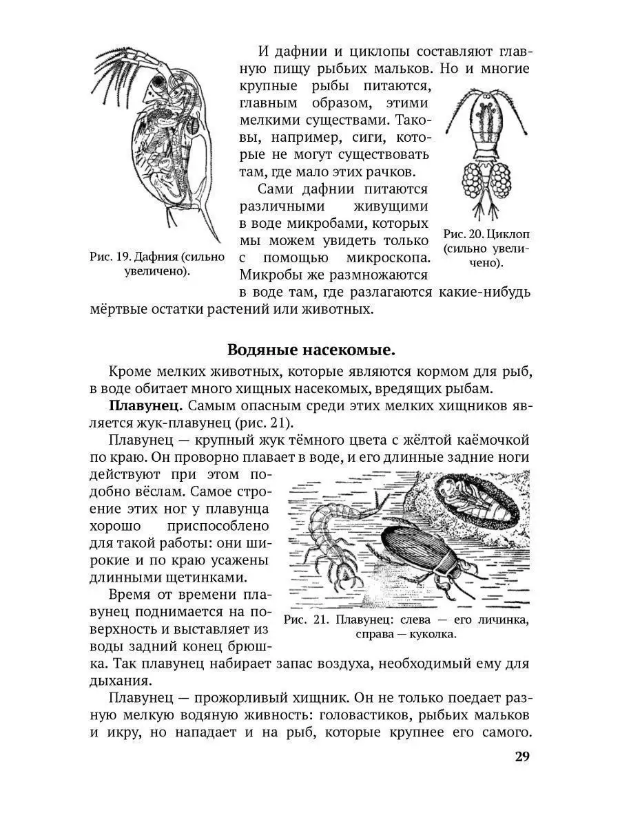 Естествознание. Учебник для 4 класса. Сталинские учебники 31058715 купить в  интернет-магазине Wildberries