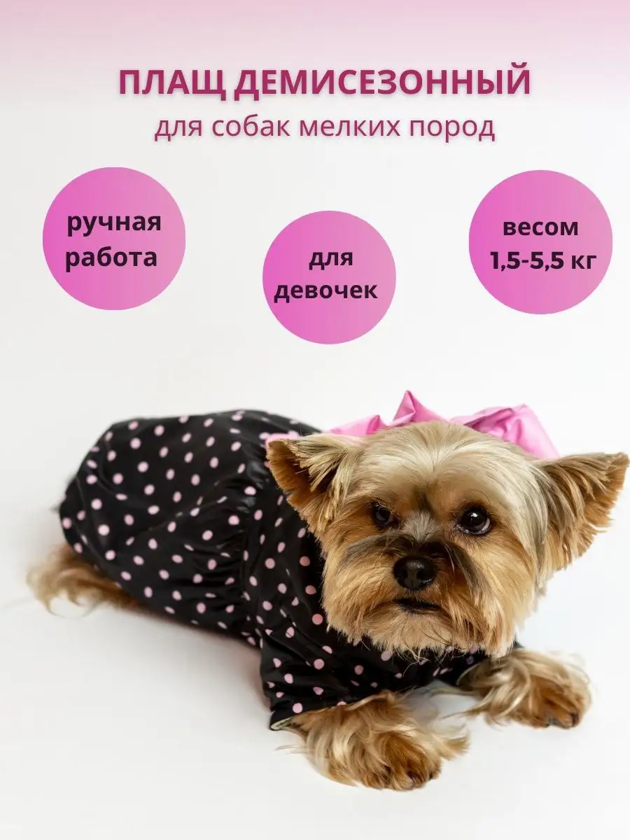 Одежда для собак Плащ для собаки MIKKI 31086430 купить за 1 520 ₽ в  интернет-магазине Wildberries