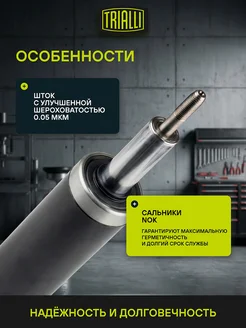Амортизатор ЛиАЗ 5256/6212/НеФАЗ 5297 TRIALLI 31149017 купить за