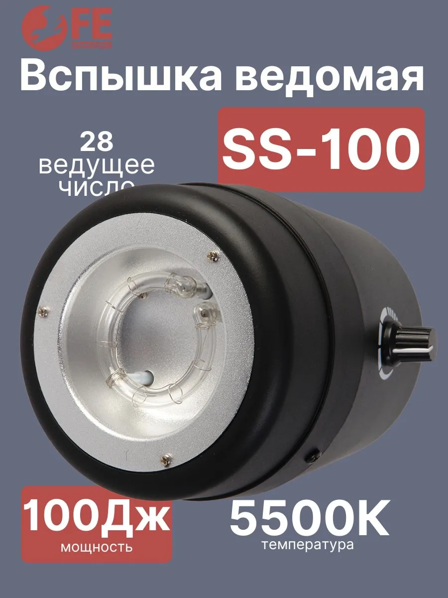 Вспышка ведомая SS-100