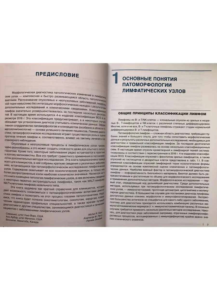 Атрофия костной ткани: почему возникает и как бороться? Быстрое наращивание в Москве!