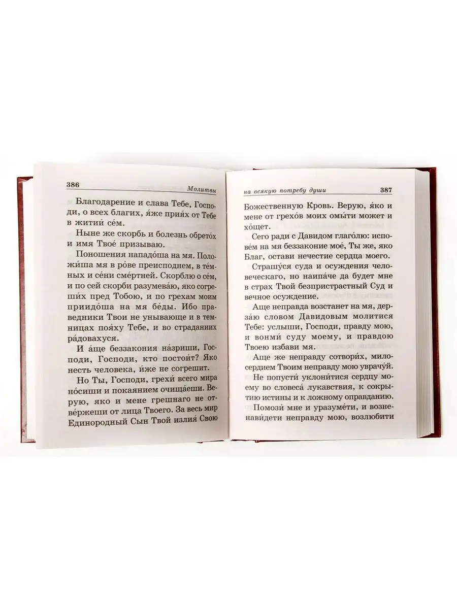 Молитвослов православный с приложением молитв Отчий дом 31228314 купить за  441 ₽ в интернет-магазине Wildberries