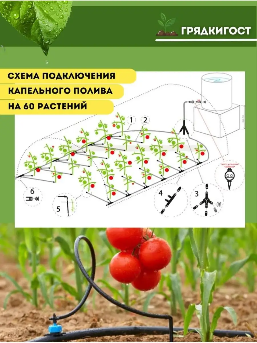 Системы капельного полива автоматическая Грядки - ГОСт.рф 31588150 купить  за 3 567 ₽ в интернет-магазине Wildberries