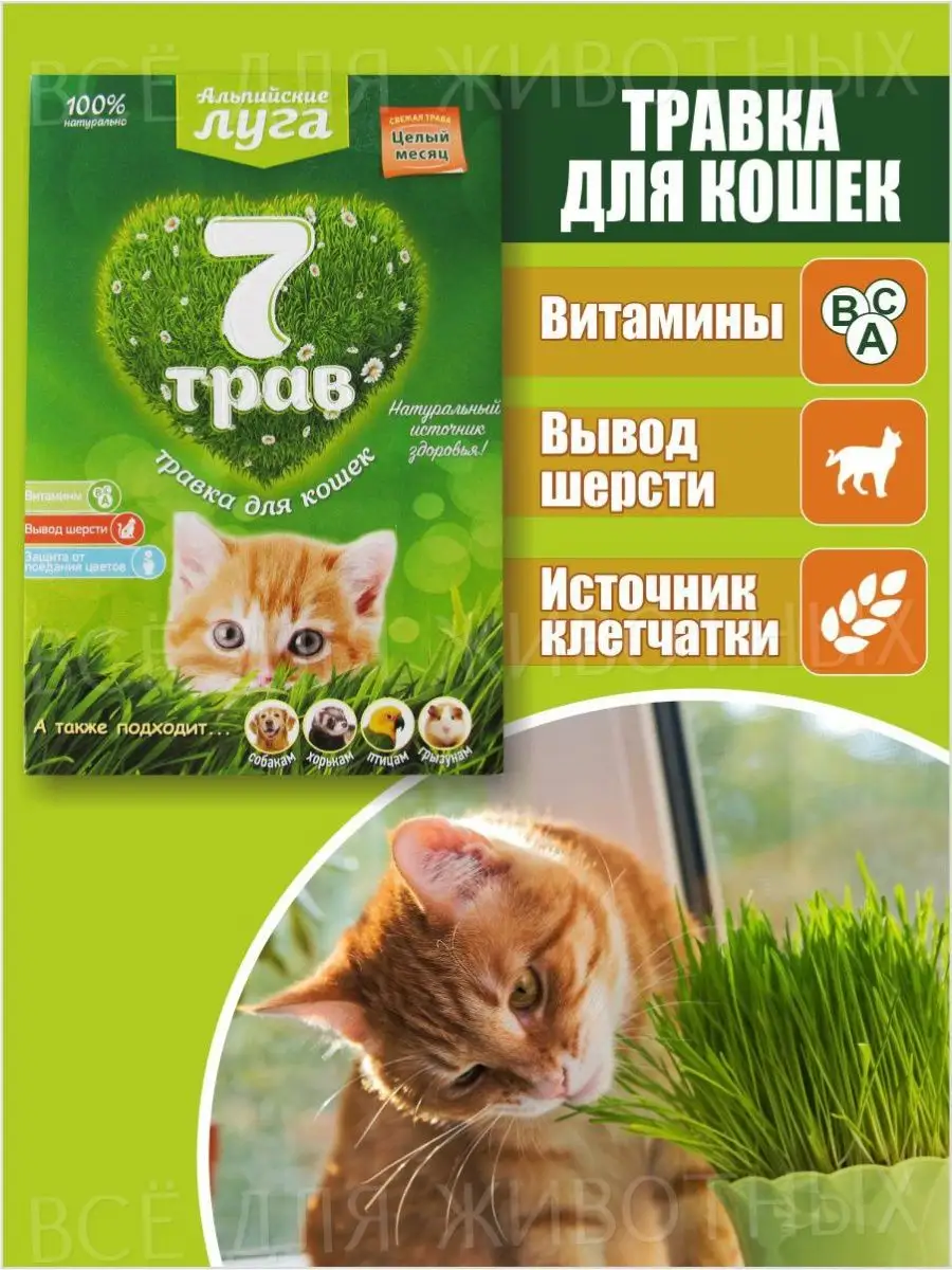 Трава для кошек, семена для проращивания, 50гр