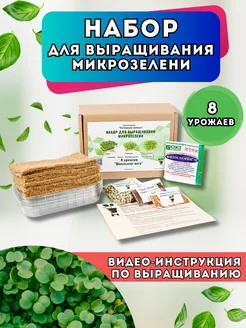 Набор для выращивания микрозелени полный комплект Народные семена 31840984 купить за 465 ₽ в интернет-магазине Wildberries