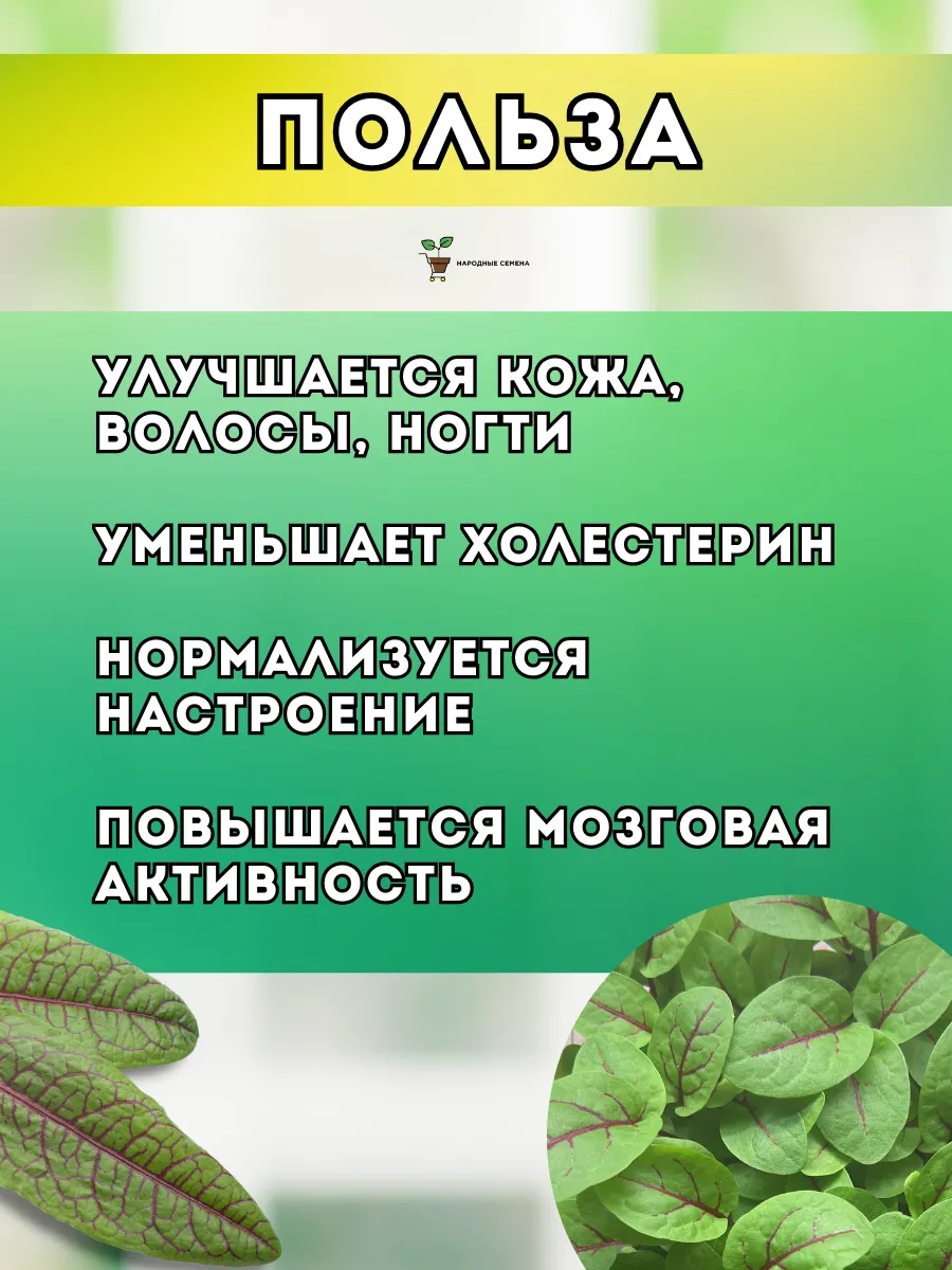 Щавель Кровавая Мэри Народные семена 31845558 купить за 622 ₽ в  интернет-магазине Wildberries