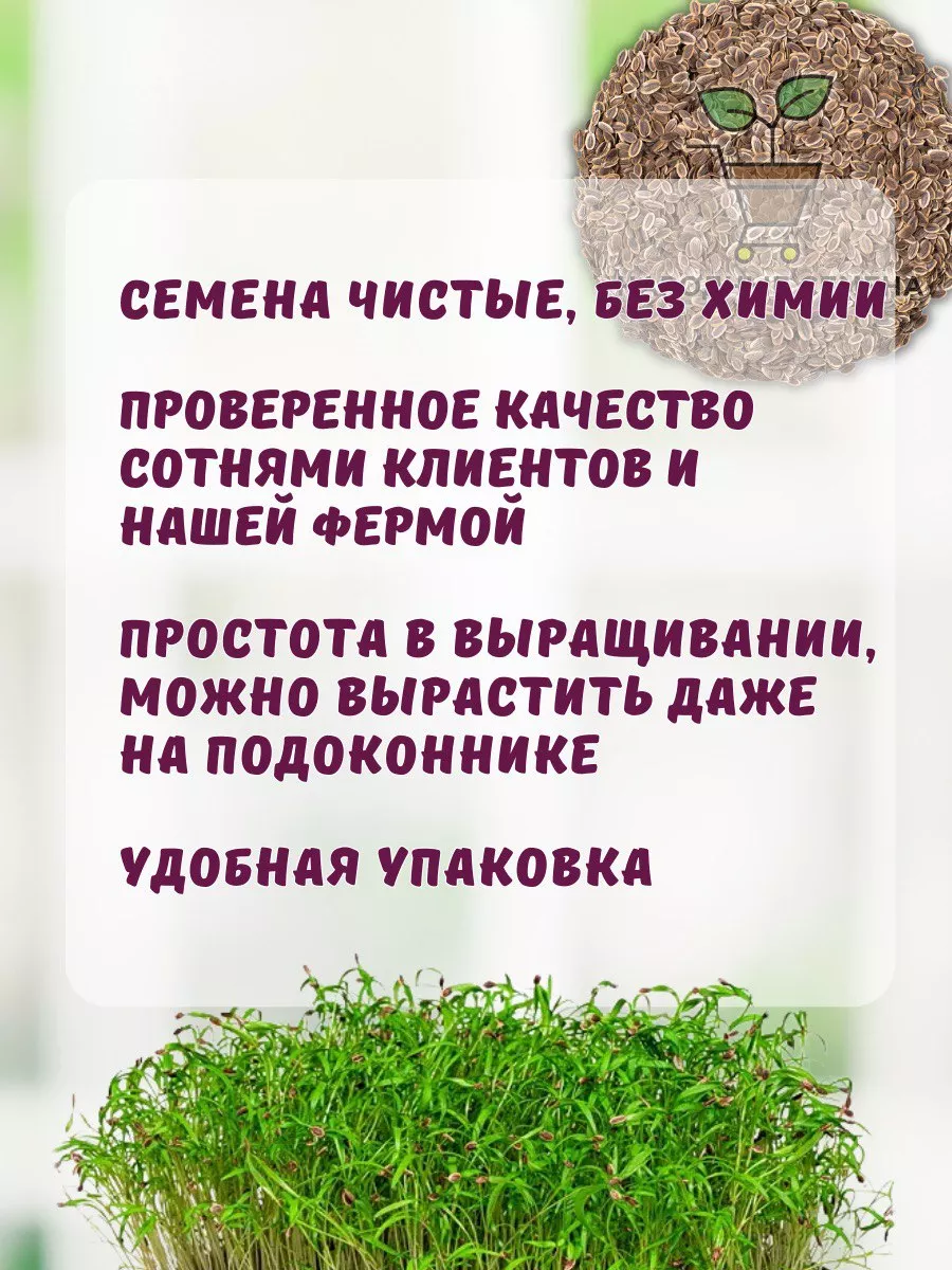 Семена укроп Бизон для микрозелени и огорода Народные семена 31846277  купить за 216 ₽ в интернет-магазине Wildberries