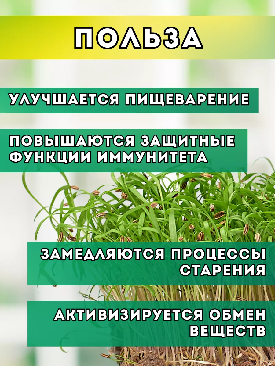 Семена укроп Бизон Народные семена 31846277 купить за 234 ₽ в  интернет-магазине Wildberries