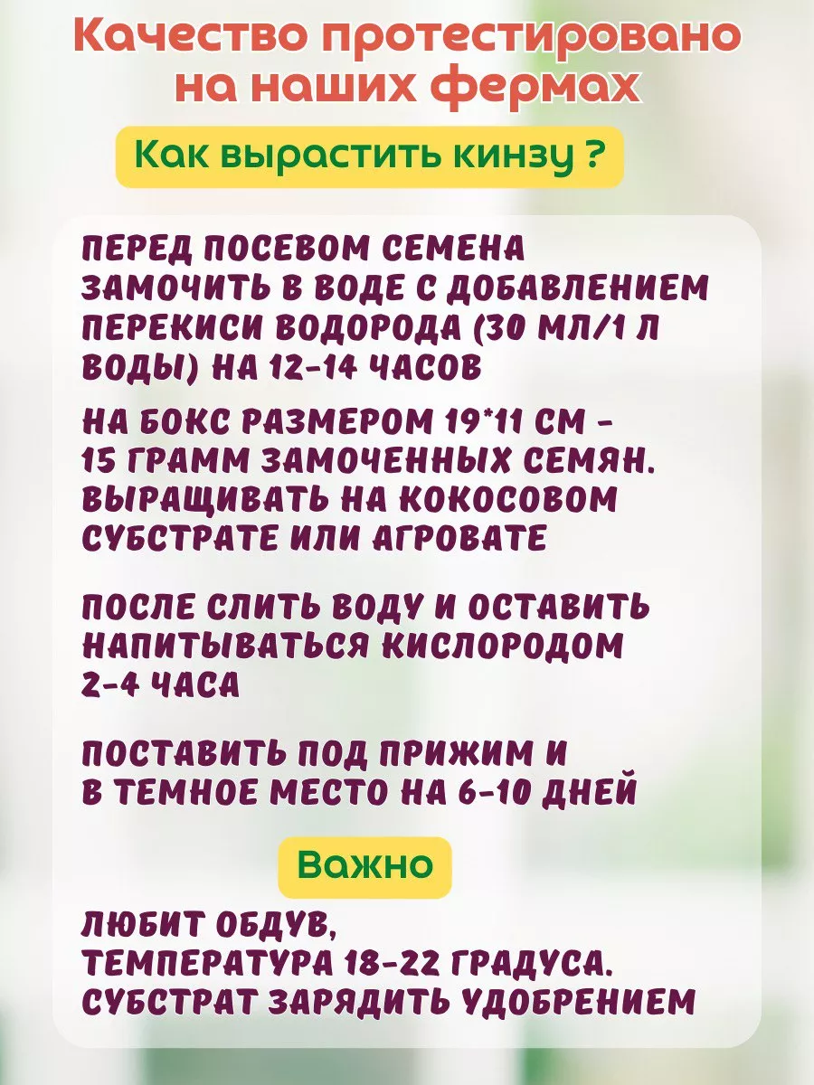 Семена кинзы для микрозелени и посадки на огороде Народные семена 31946985  купить за 184 ₽ в интернет-магазине Wildberries