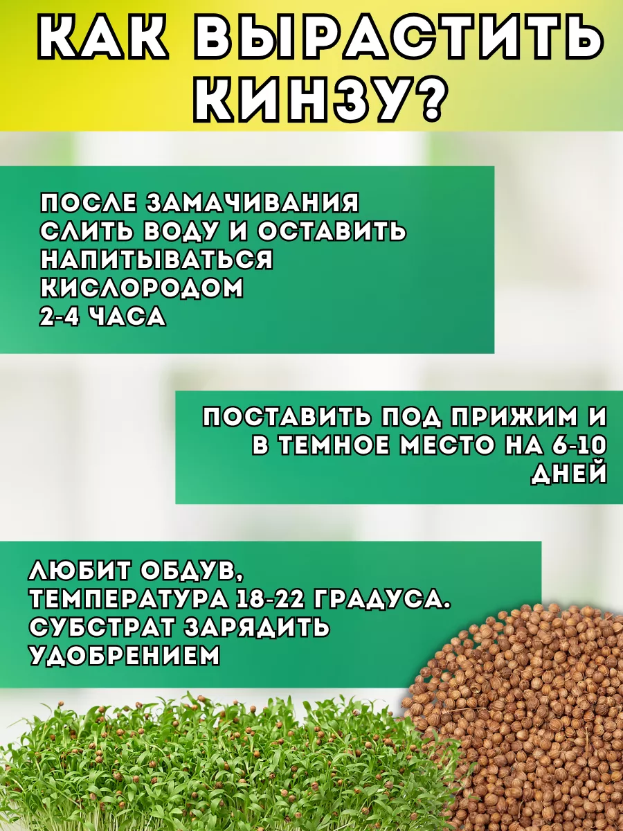 Семена кинзы для микрозелени и посадки на огороде Народные семена 31946985  купить за 200 ₽ в интернет-магазине Wildberries