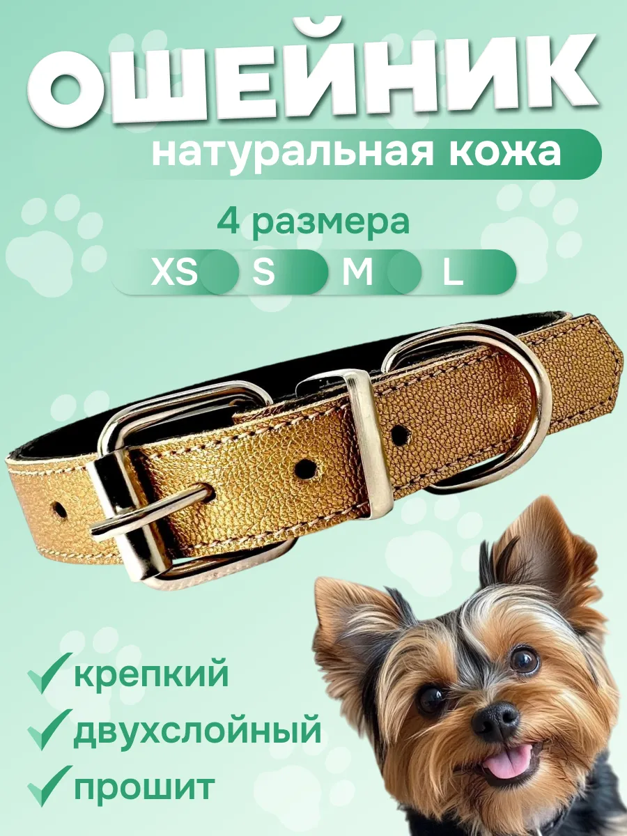 Ошейник для собак