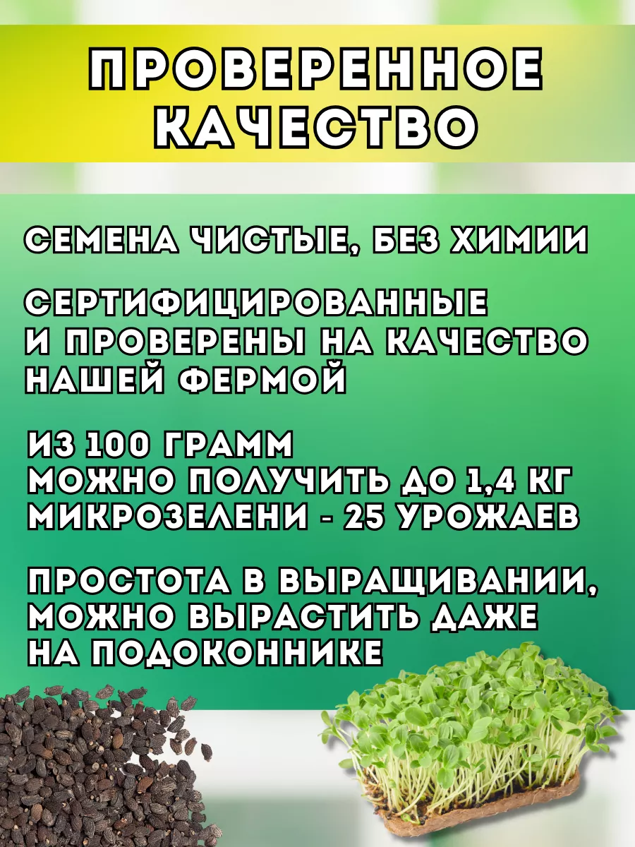 Семена Бораго для микрозелени и огорода Народные семена 31969354 купить за  696 ₽ в интернет-магазине Wildberries