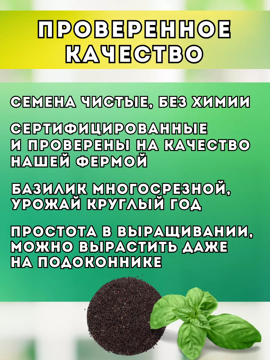 Семена базилика для микрозелени и посадки в огород Народные семена 31972273  купить за 518 ₽ в интернет-магазине Wildberries