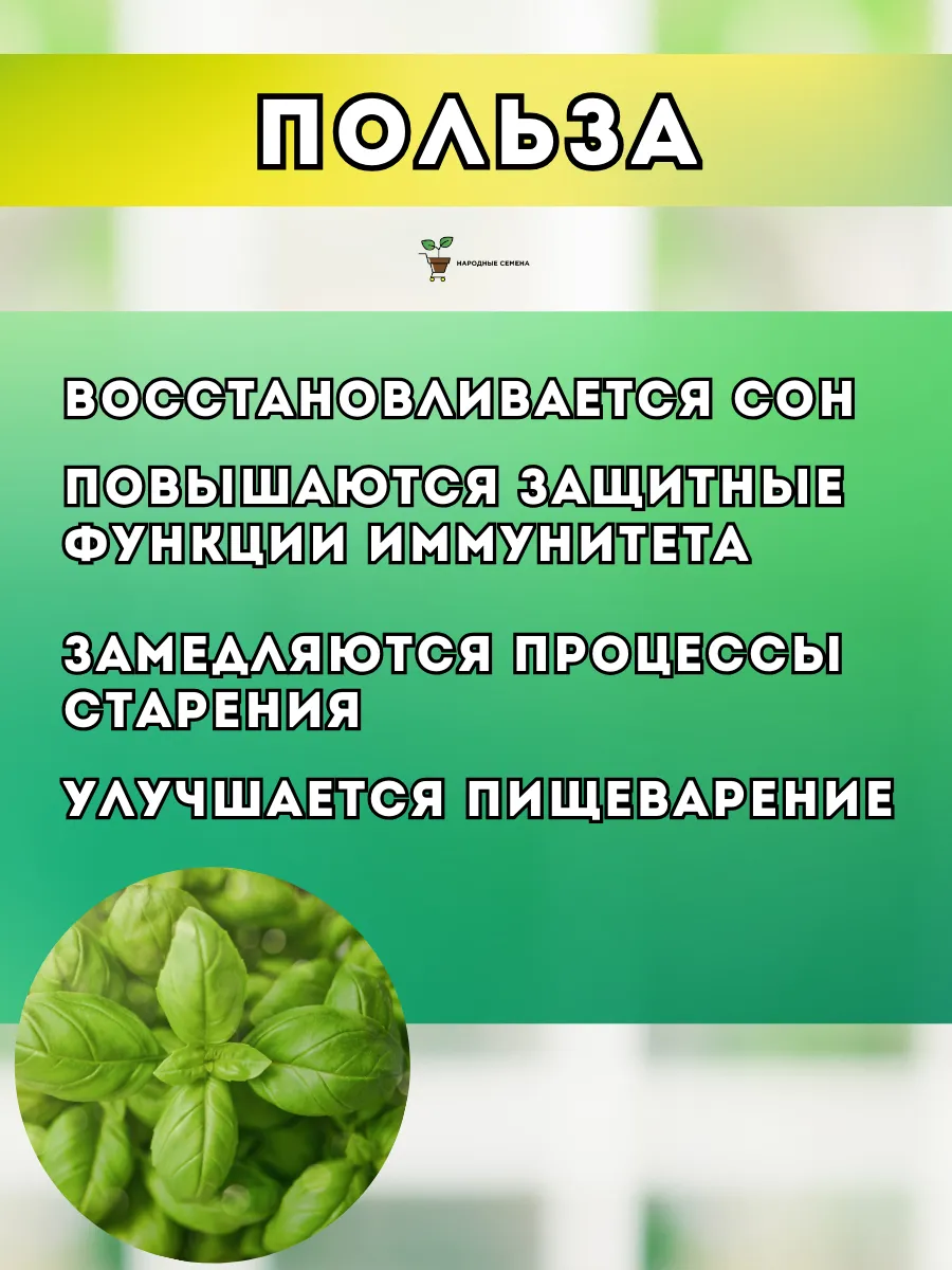 Семена базилика для микрозелени и посадки в огород Народные семена 31972273  купить за 505 ₽ в интернет-магазине Wildberries