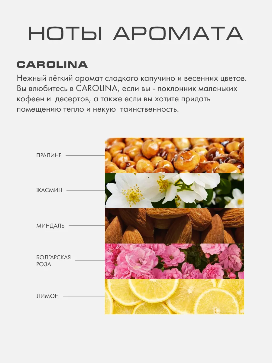 Ароматизатор с палочками для дома аромат CAROLINA Kaori 31979257 купить за  6 366 ₽ в интернет-магазине Wildberries