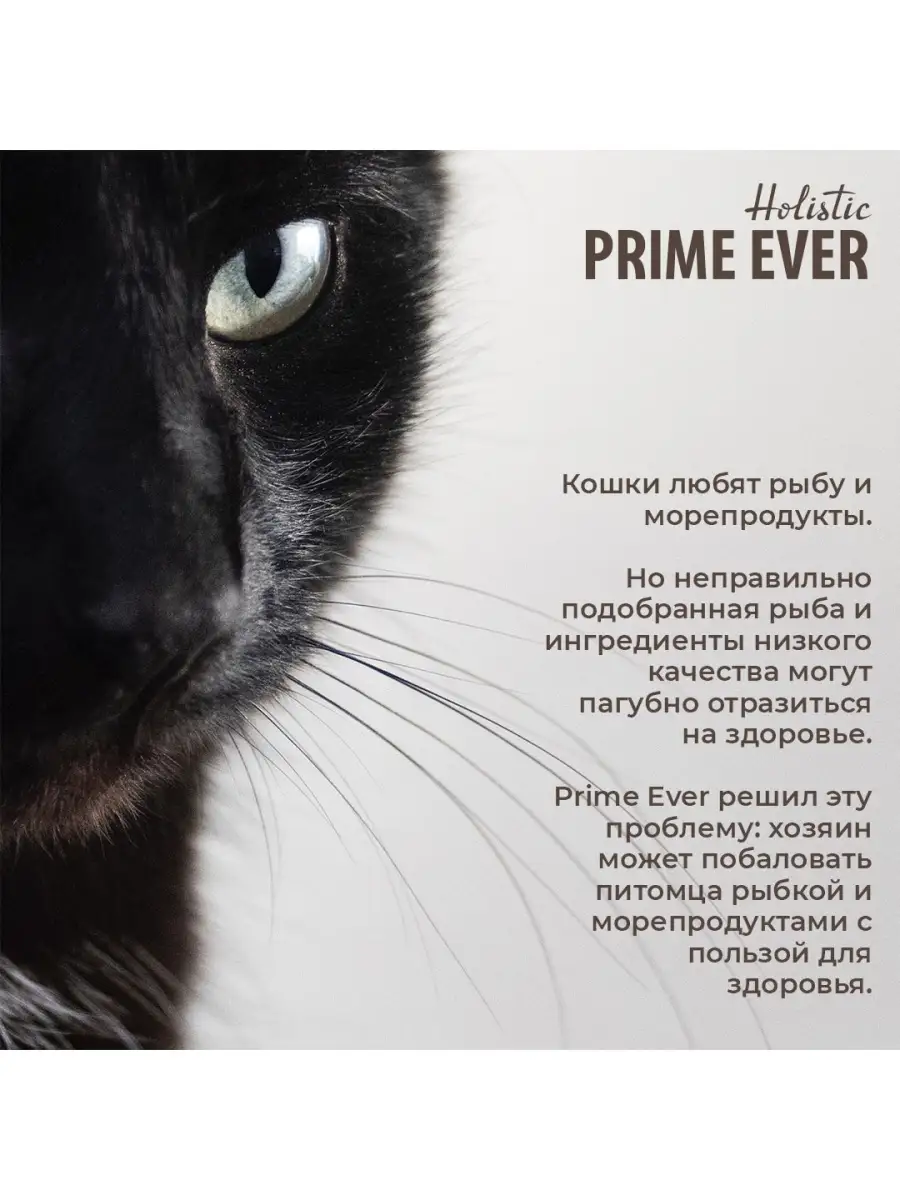 Влажный корм для кошек в желе, упаковка 6 шт х 80 г Prime Ever 32025828  купить за 1 350 ₽ в интернет-магазине Wildberries